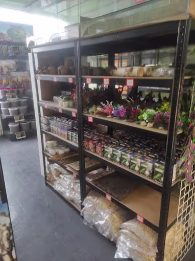 Terrarium bioaktywne — jak zacząć i dlaczego warto?
